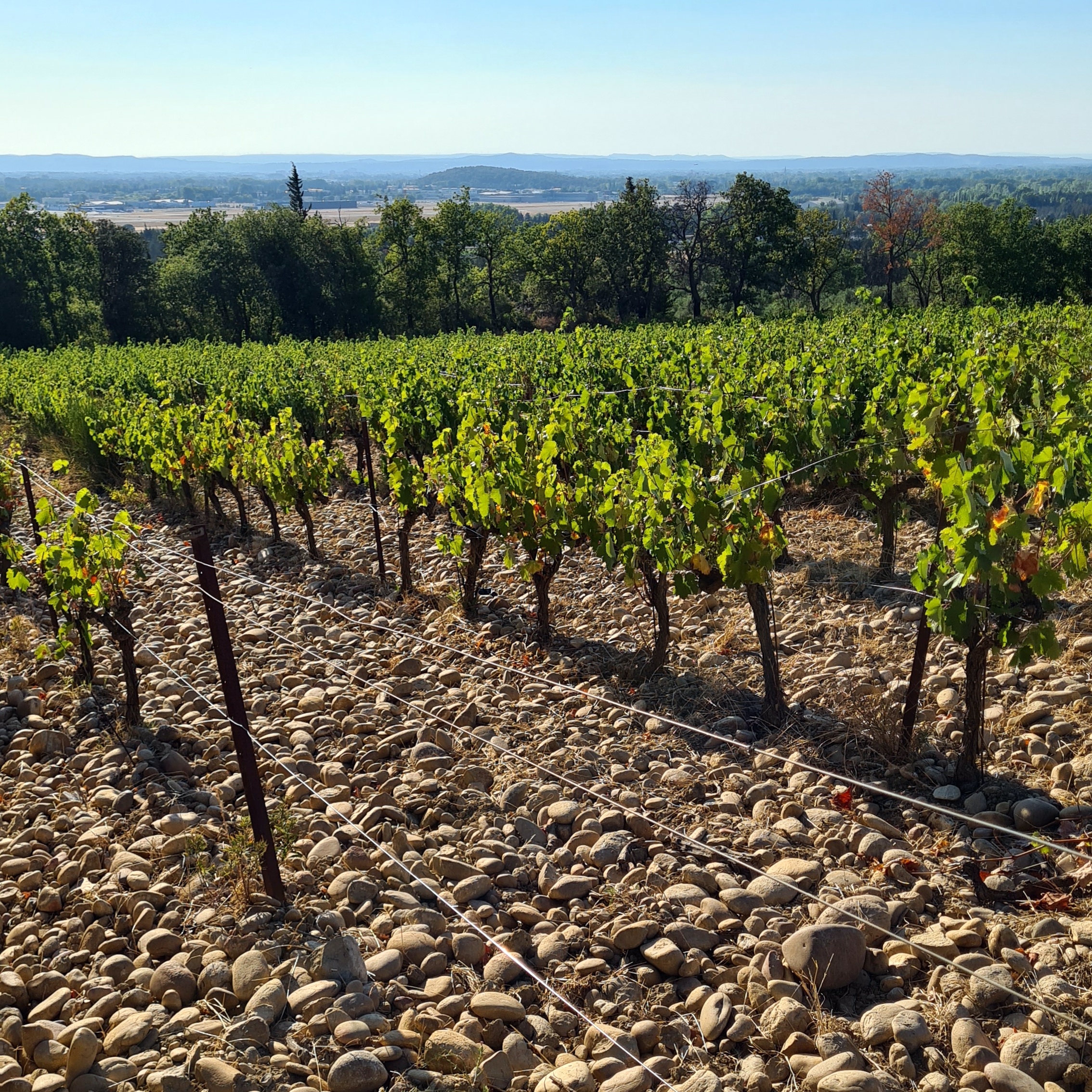 domaine de rhonance - visuel05
