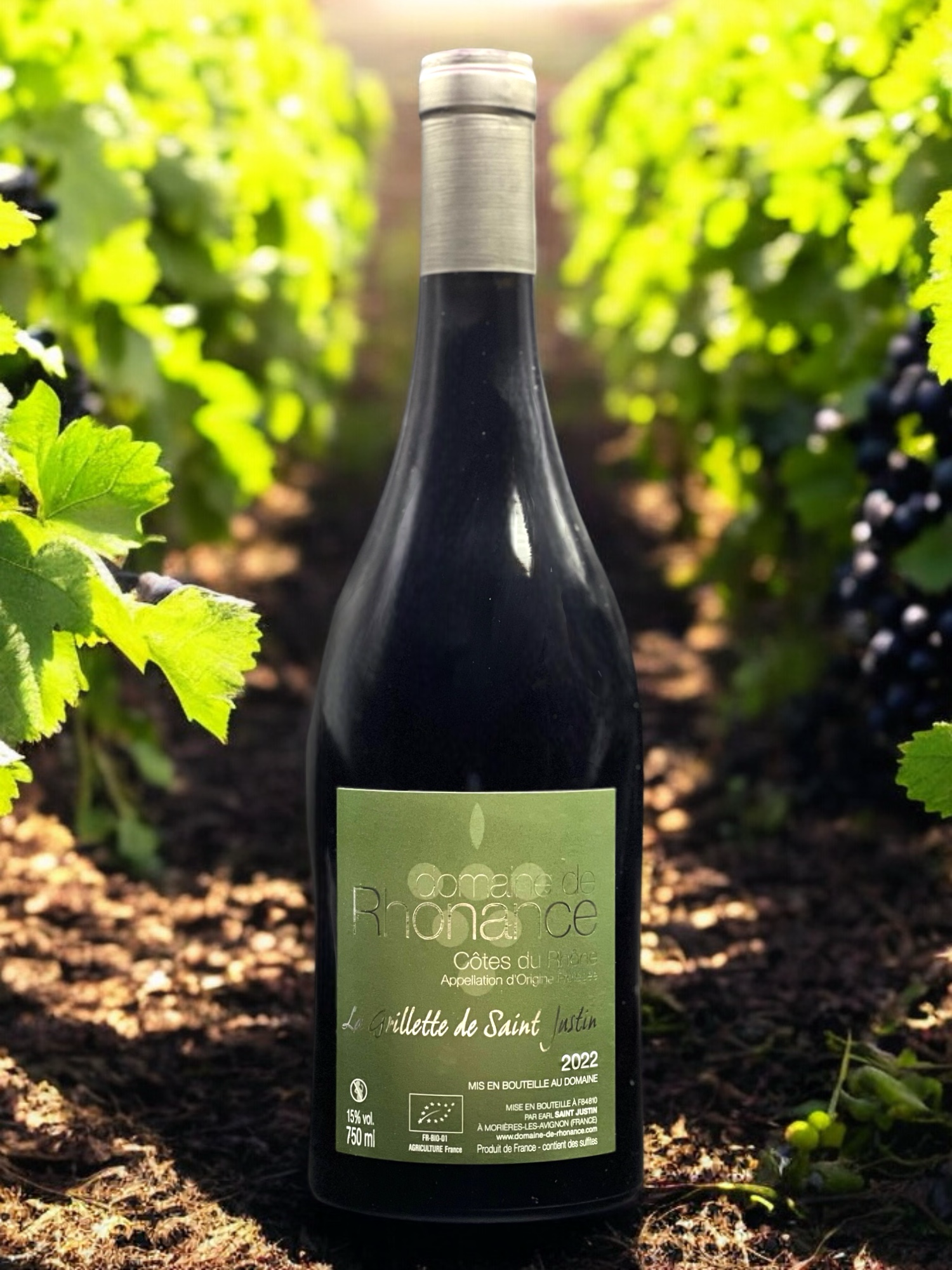 Domaine de Rhonance - Grillettes_visuel