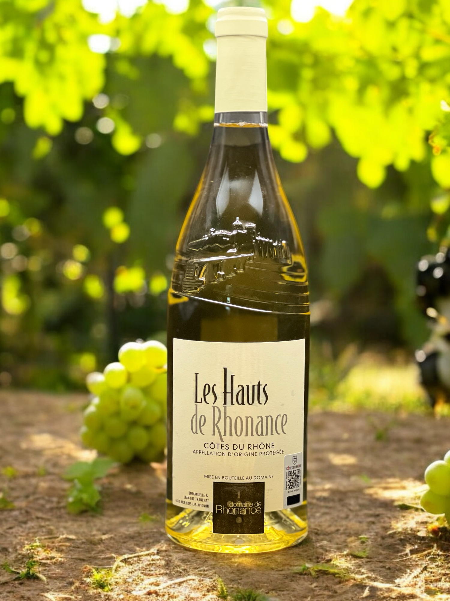 Domaine de Rhonance - Hauts de rhonance blanc_visuel