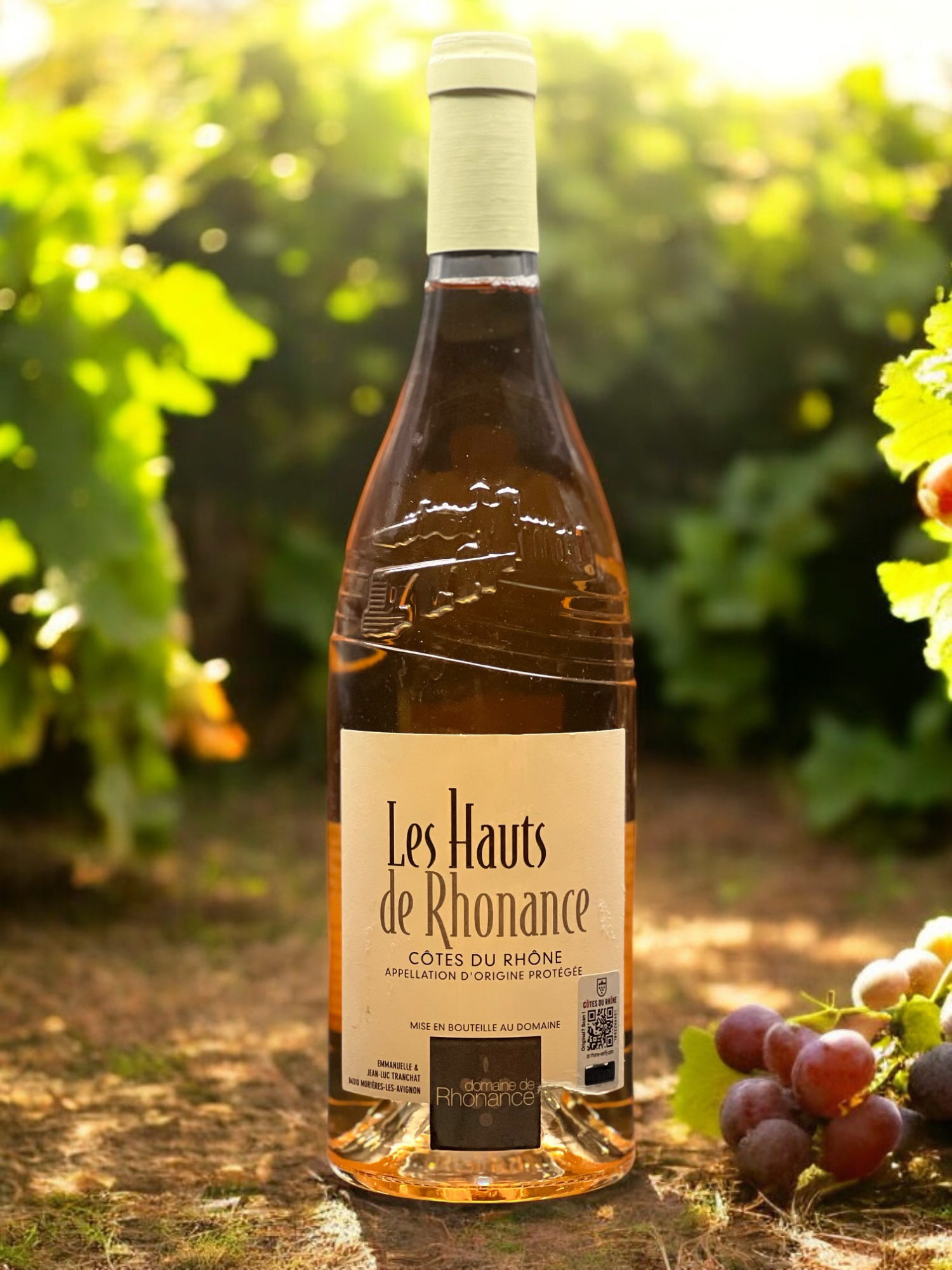 Domaine de Rhonance - Hauts de rhonance rosé_visuel