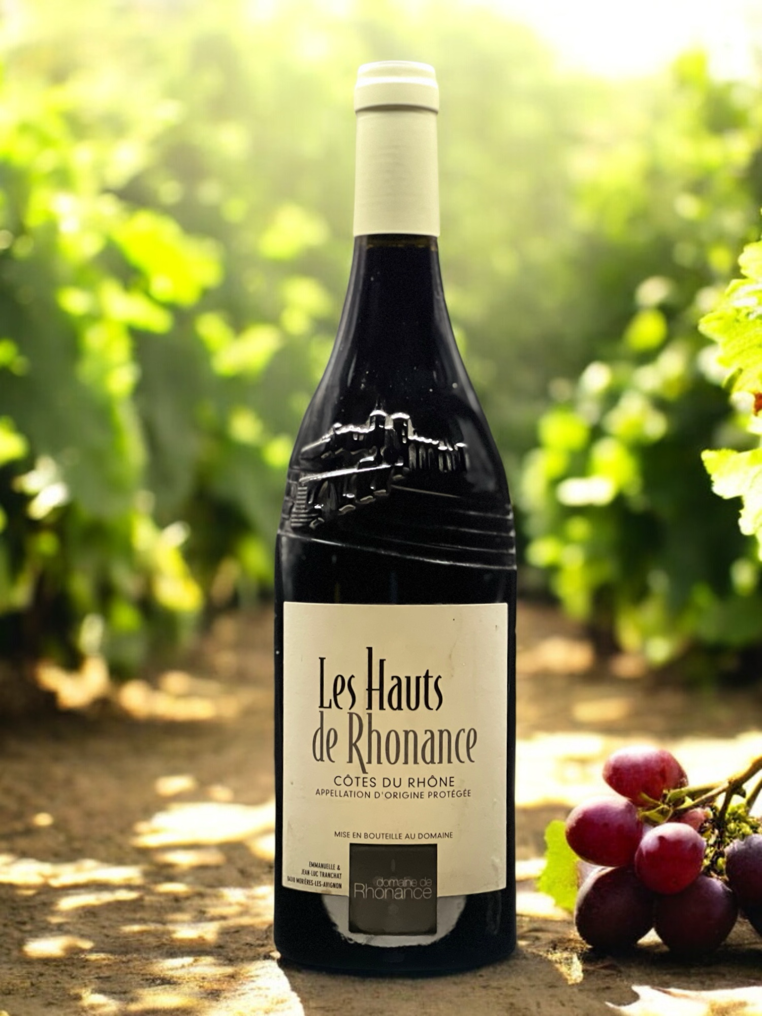 Domaine de Rhonance - Hauts de rhonance rouge_visuel