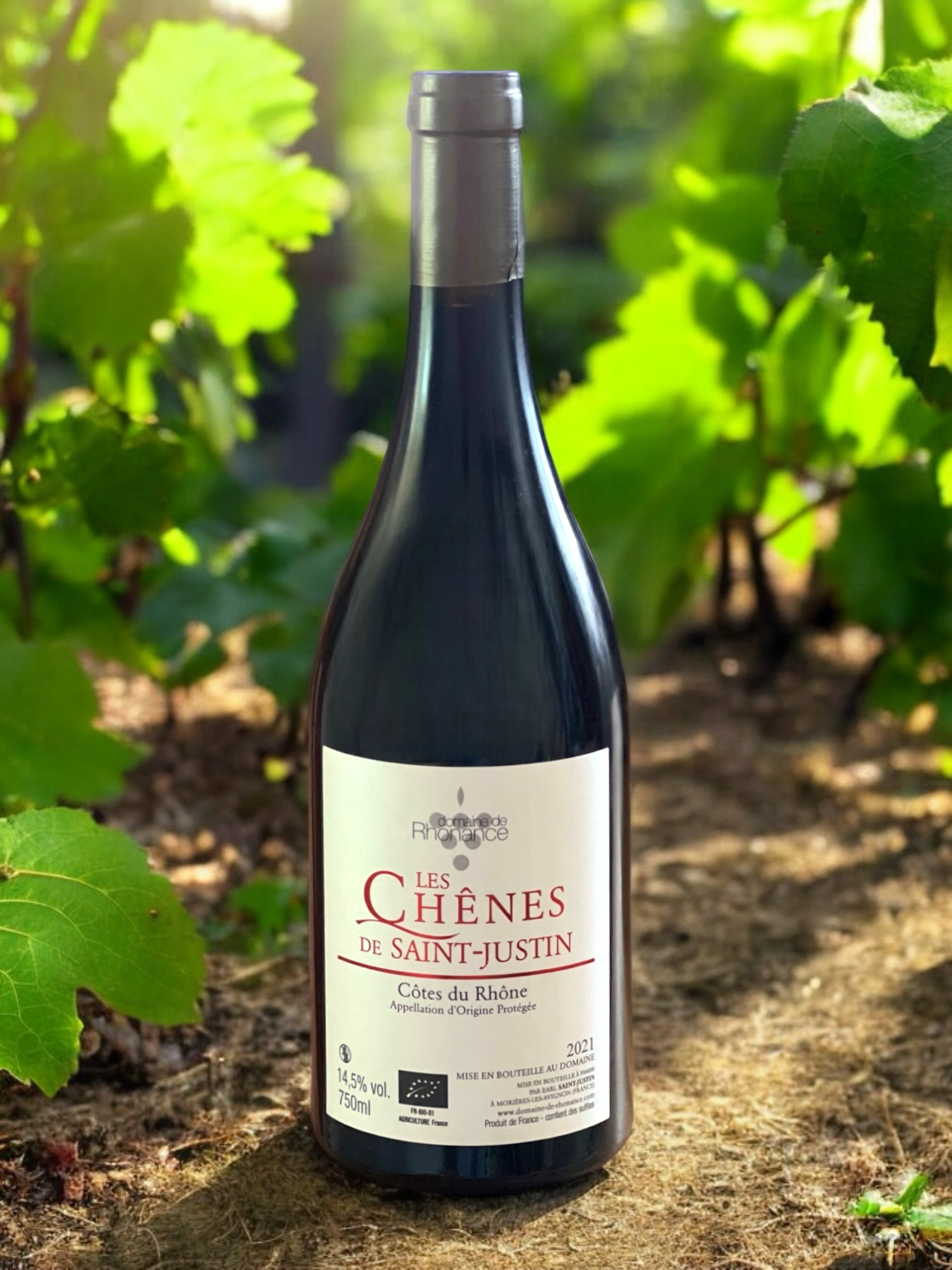 Domaine de Rhonance - Les chenes_visuel