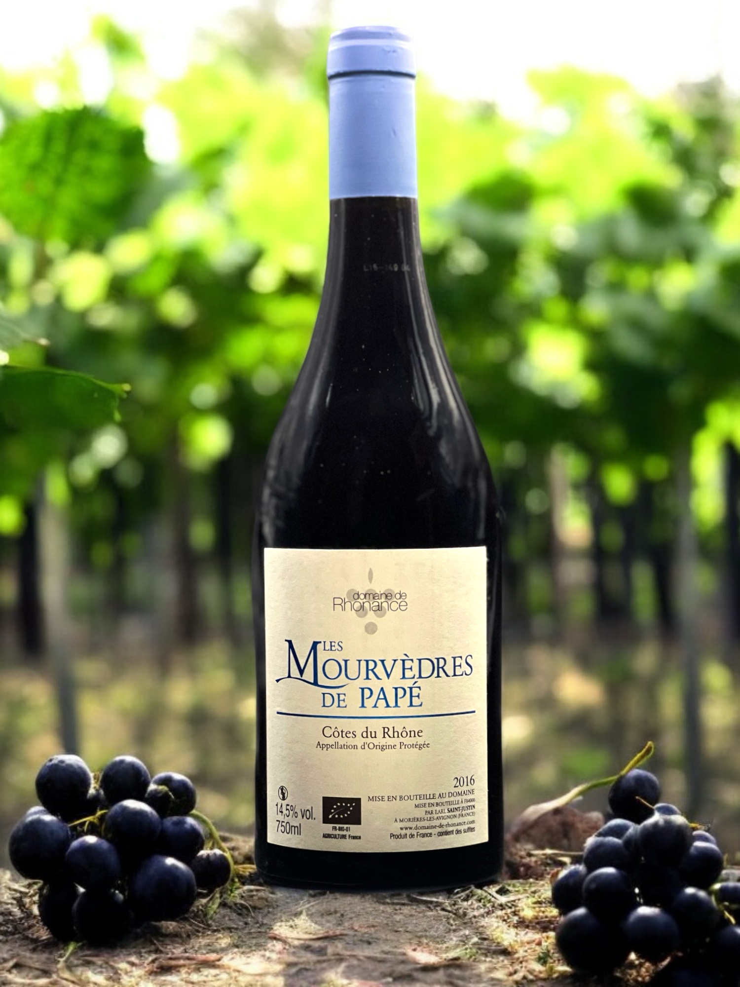 Domaine de Rhonance - Mourvedres_visuel