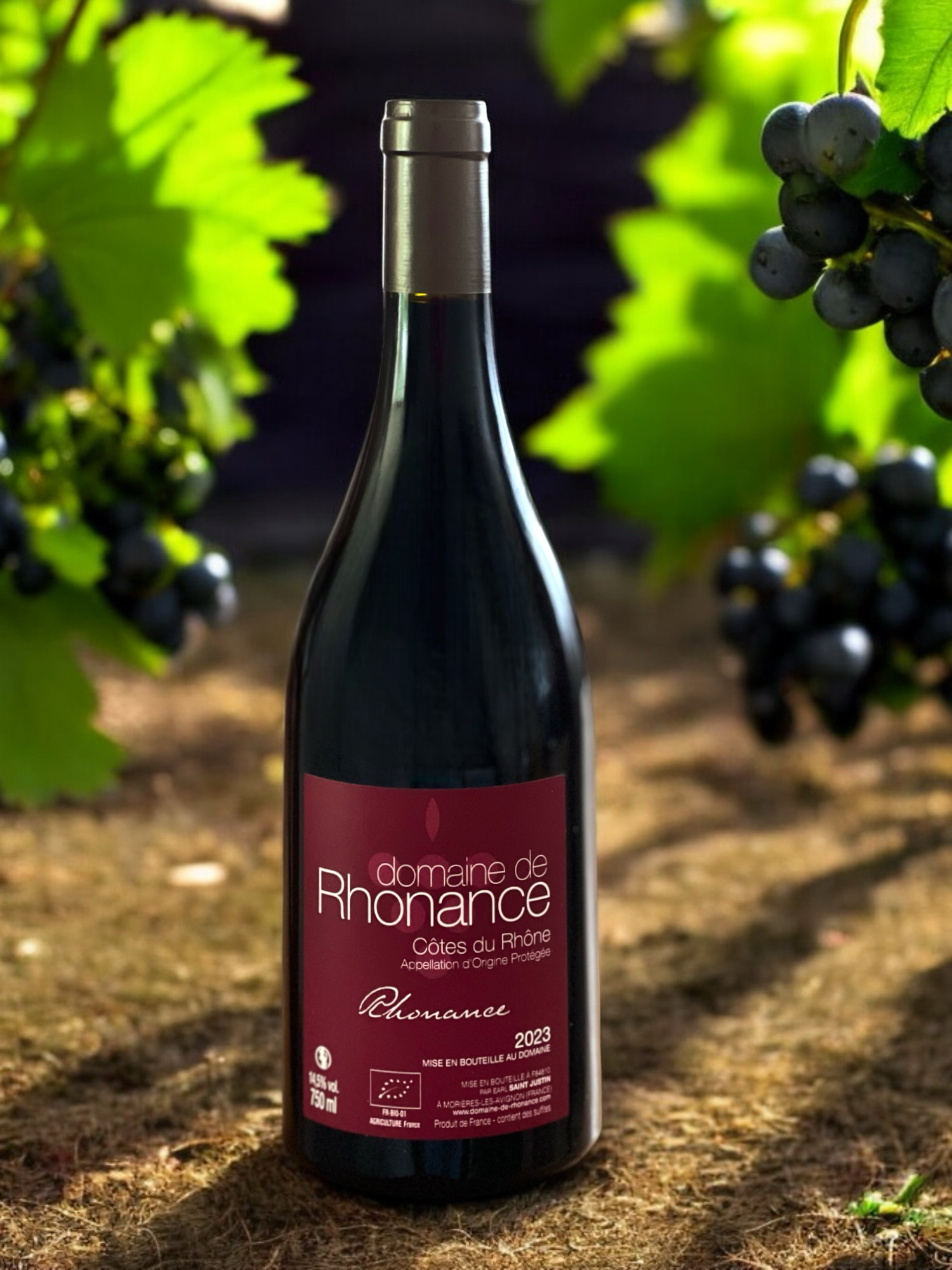 Domaine de Rhonance - Rhonance rouge_visuel