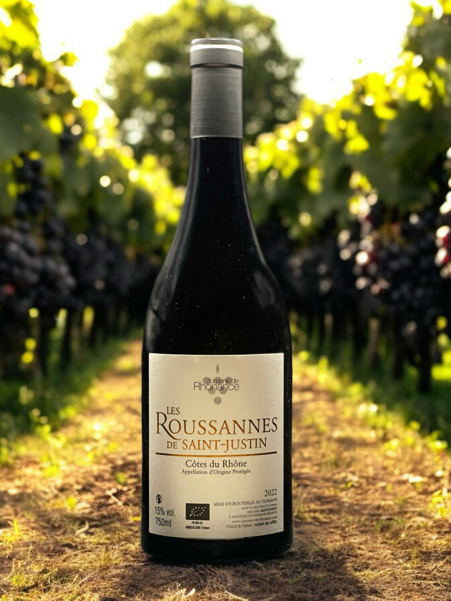 Domaine de Rhonance - Roussannes_visuel