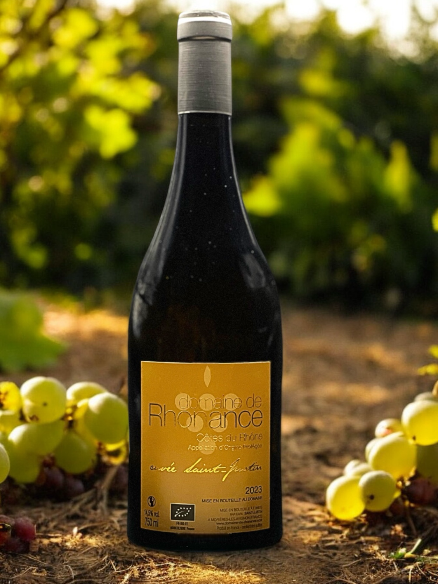 Domaine de Rhonance - Saint justin blanc_visuel
