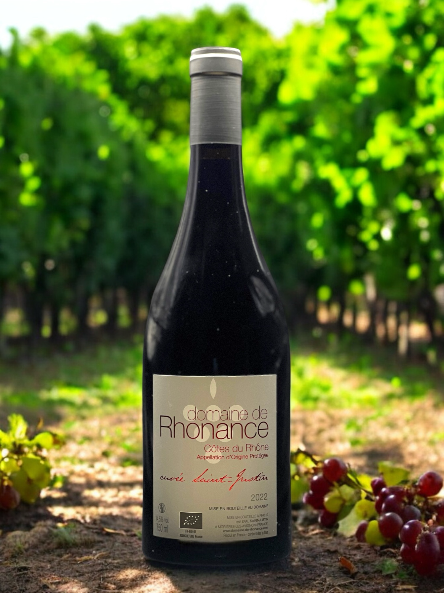 Domaine de Rhonance - Saint justin rouge_visuel
